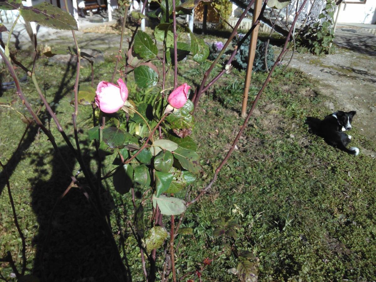 9 Plus - Orbeli Esterno foto