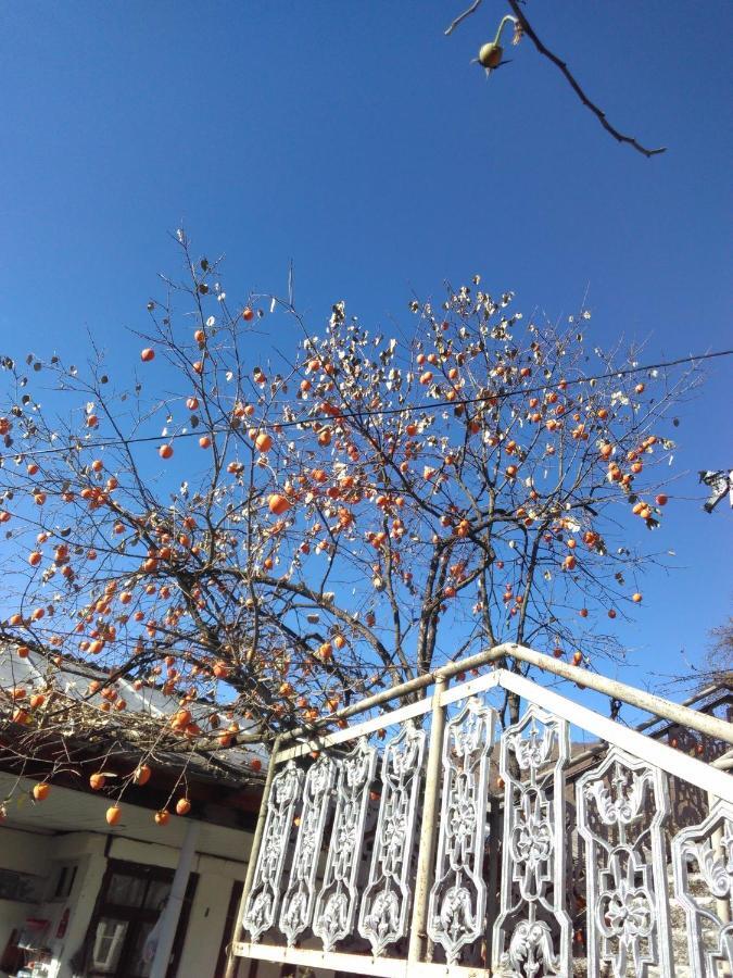 9 Plus - Orbeli Esterno foto