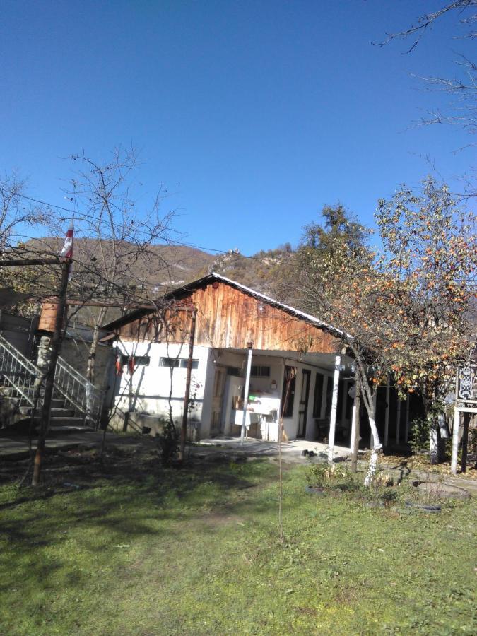 9 Plus - Orbeli Esterno foto