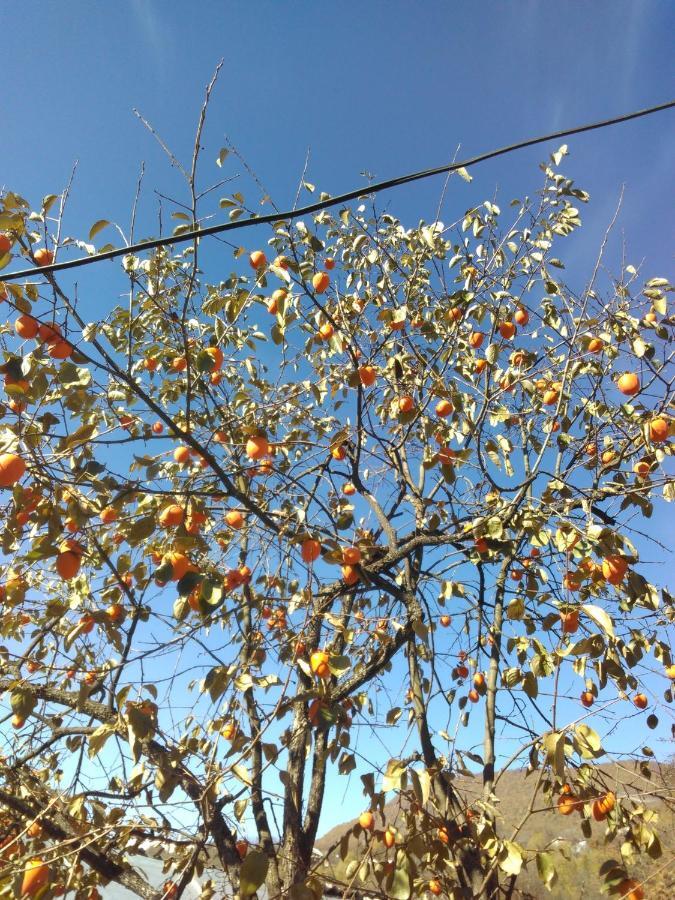 9 Plus - Orbeli Esterno foto