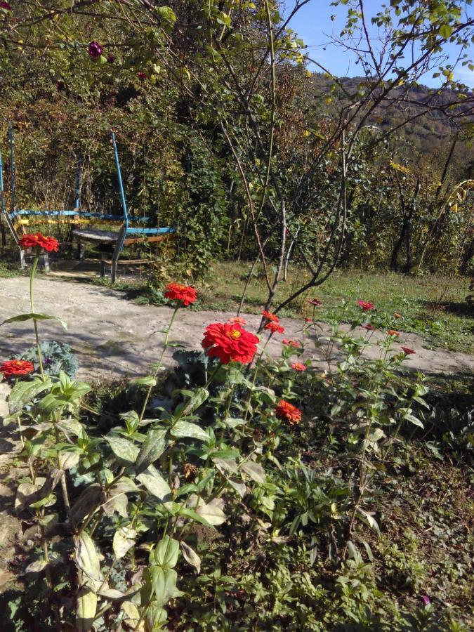 9 Plus - Orbeli Esterno foto