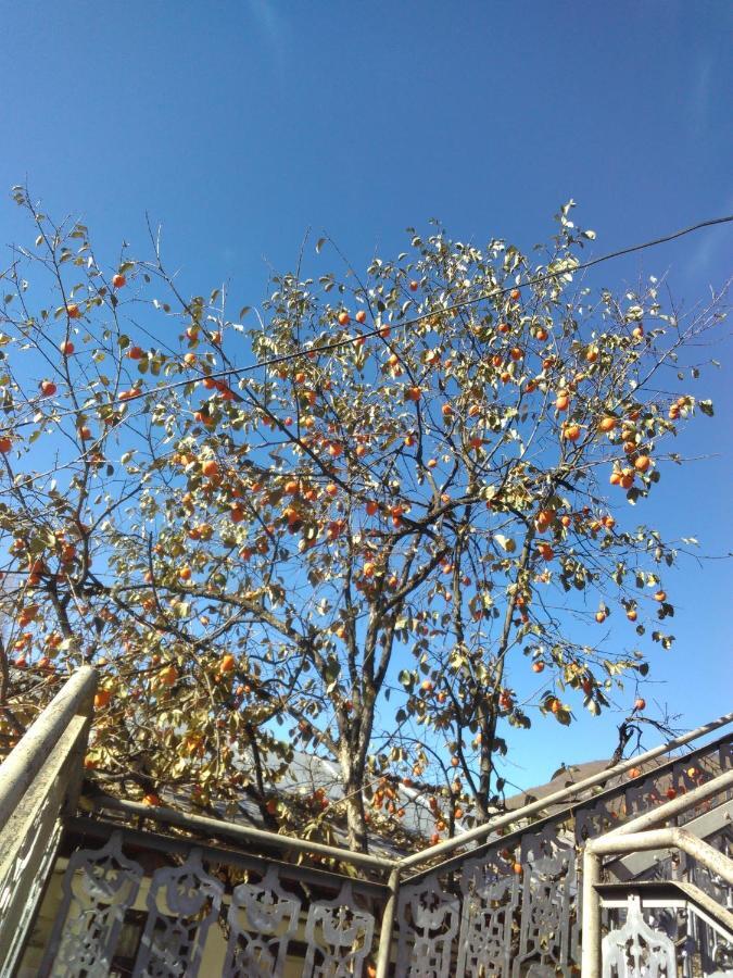 9 Plus - Orbeli Esterno foto