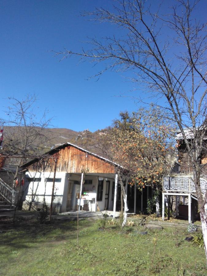 9 Plus - Orbeli Esterno foto