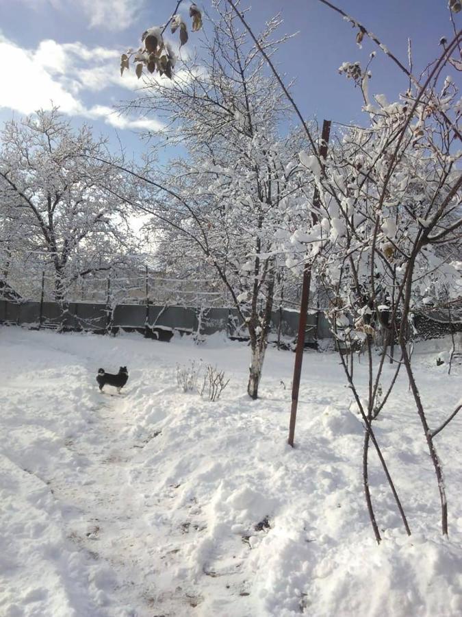 9 Plus - Orbeli Esterno foto