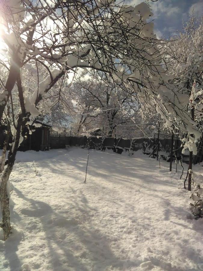 9 Plus - Orbeli Esterno foto